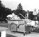 Disabled Woman in Electric Transporter Chatting with Passerby