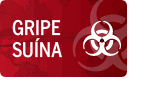 Para europeus, gripe su�na j� matou 843 pessoas no mundo