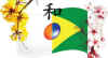 japao-brasil-1.jpg (50457 bytes)