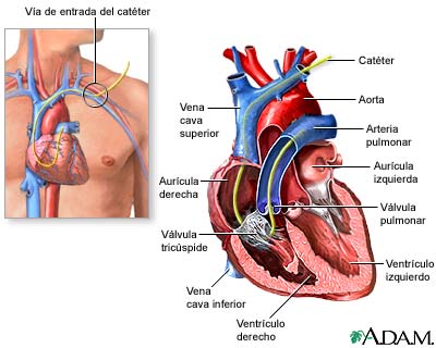 definicion de valvulas semilunares en el corazon